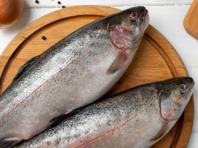 صادرات اولین محموله ماهیان قزل آلای مراغه به کشور عراق