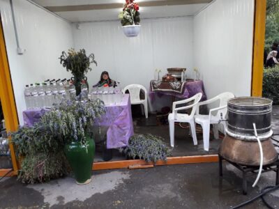 برگزاری جشنواره بادرشبی در شهرستان مراغه