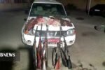 دستگیری ۲ گروه شکارچی متخلف در مراغه