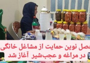 فصل نوین حمایت از مشاغل خانگی در مراغه و عجبشیر آغاز شد