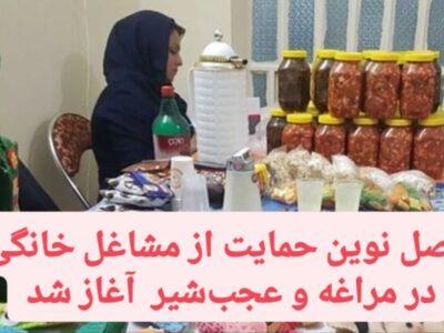 فصل نوین حمایت از مشاغل خانگی در مراغه و عجبشیر آغاز شد