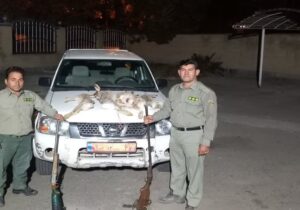 دستگیری شکارچیان غیرمجاز در مراغه