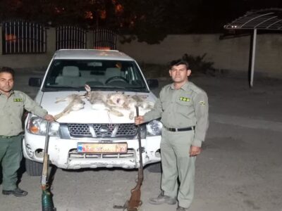 دستگیری شکارچیان غیرمجاز در مراغه