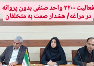 فعالیت ۳۲۰۰ واحد صنفی بدون پروانه در مراغه/ هشدار صمت به متخلفان