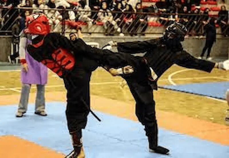 نایب‌ قهرمانی ورزشکار مراغه‌ای در رقابت‌های کشوری کونگ‌فو