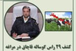 کشف ۲۹ راس گوساله قاچاق در مراغه
