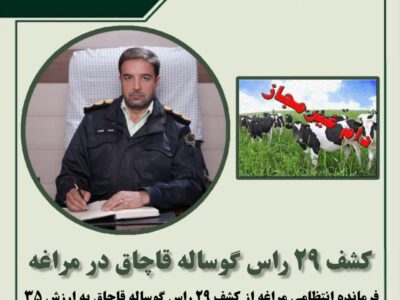 کشف ۲۹ راس گوساله قاچاق در مراغه