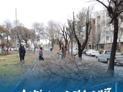 آغاز عملیات هرس درختان سطح شهر