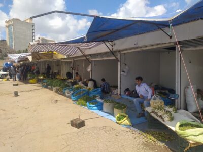 برپایی بازارچه “داغ تره سی “در مراغه