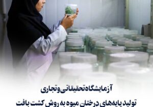 آزمایشگاه تحقیقاتی و تجاری تولید پایه‌های درختان میوه به روش کشت بافت در دانشگاه مراغه راه‌اندازی شد