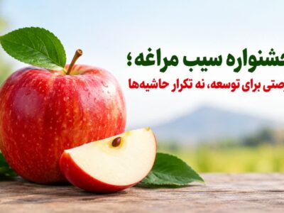 جشنواره سیب مراغه ، فرصتی برای توسعه، نه تکرار حاشیه‌ها